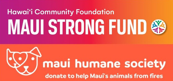 Mauistrongfund